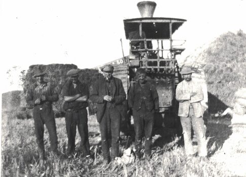 Team of chaff cutters.