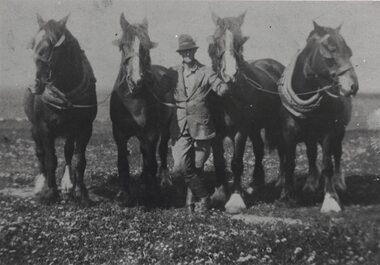 Man with a team of four horses.