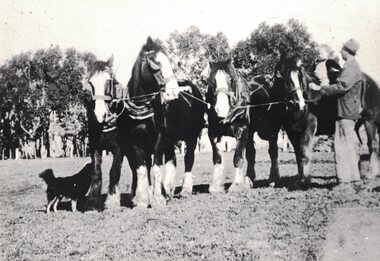 Man with a team of horses.