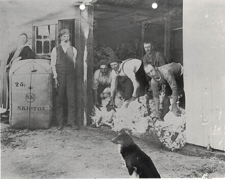 Men at a shearing shed.