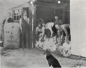 Men at a shearing shed.