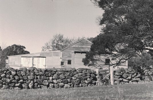 Shearing shed and a dry-stone wall.