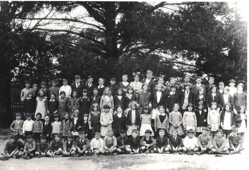 Group of school pupils and teachers.