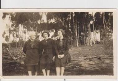 Image of three women.