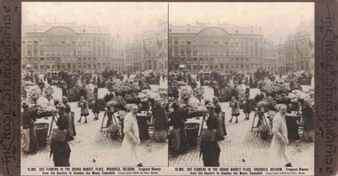 Stereograph of a flower market.