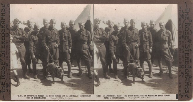 Soldiers with a dog.