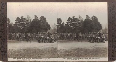 Soldiers performing drill excercises.