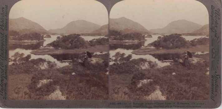 Image of a landscape.