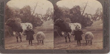 Young girl with a cow and a sheep.