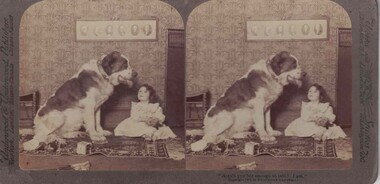 Young girl and a large dog.