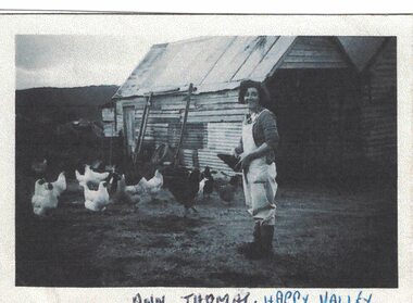 Woman feeding chooks.