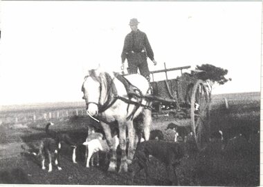 Man on a horsedrawn cart with dogs.