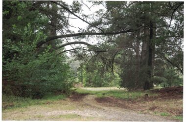 Image of trees.
