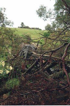 Trestle bridge over a creek after a flood.