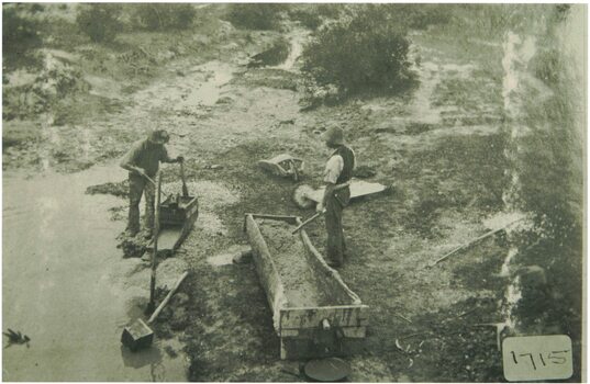 Men using cradles to find gold.