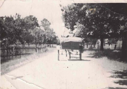 Cart driving along a road.