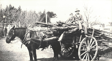 Man and boy on wood laden cart.