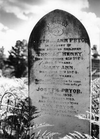 Photograph, Pryor Family Head stone