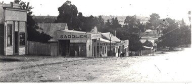 Photograph, Sussex Street, Linton, east side between Craine's confectionery shop and Preston's shop, undated (1920s?)
