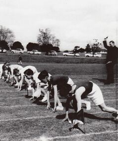 Photograph - Sports, Athletics