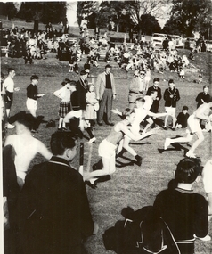 Photograph - Sports, Athletics