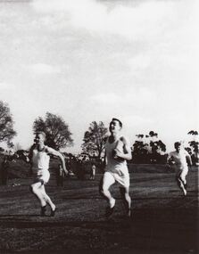 Photograph - Sports, Athletics