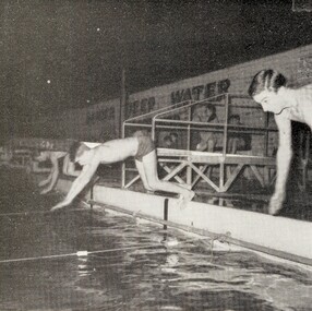 Photograph - Sports, Swimming