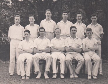 Photograph - Sports, Cricket