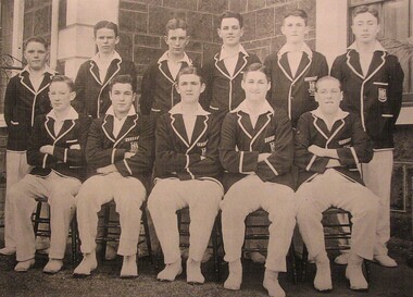 Photograph - Sports, Cricket