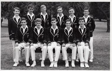 Photograph - Sports, Cricket