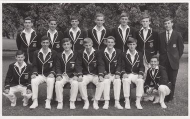 Photograph - Sports, Cricket
