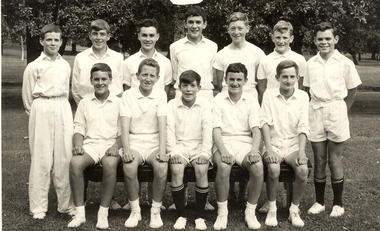 Photograph - Sports, Cricket