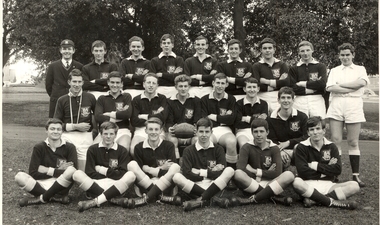 Photograph - Sports, Football