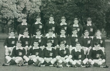 Photograph - Sports, Football