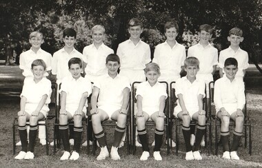 Photograph - Sports, Cricket