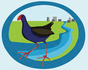 Friends of Moonee Ponds Creek 