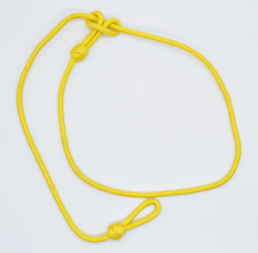 Lanyard, Latter half of 20th Century