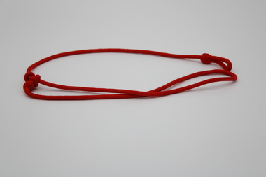 Lanyard