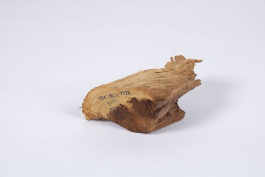 Fragment from a tree used to hang a school bell
