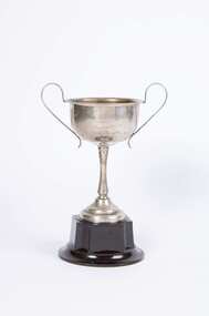 Ceremonial object, Bacchus Marsh Hospital 1952 Gala Procession Trophy