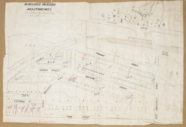 Map, Gaynor Street Area Land Sales, Maddingley, 1888