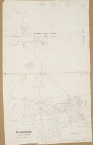 Map, Blackwood Parish Map, County of Bourke, 1892