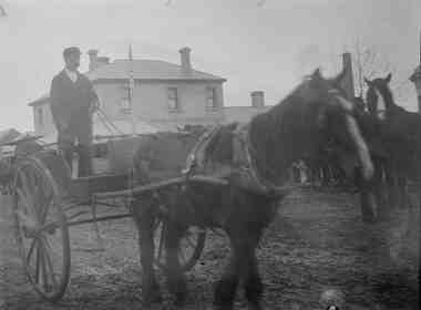 Photograph, Man standing on a Jinker in a street parade Main Street Bacchus Marsh ca 1900s