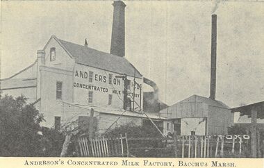Postcard, Anderson's Concentrated Milk Factory Bacchus Marsh, circa 1900s