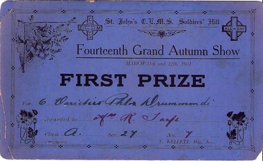 Work on paper - Horticultural award certificate, First Prize Certificate