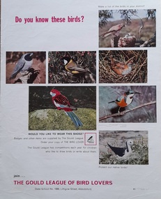 Work on paper - Poster, Do you know these birds Gould League