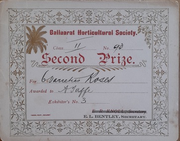 Work on paper - Certificate, Second Prize Certificate