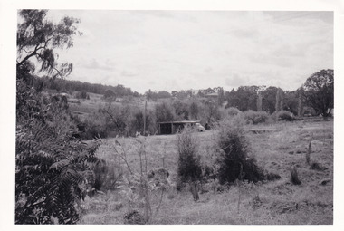 Photograph (Series), George Tibbits, William Street, Beechworth, 1976