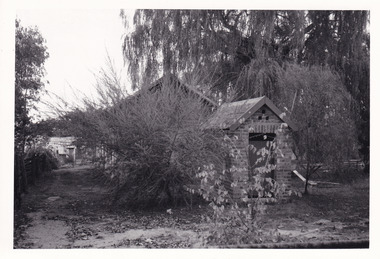 Photograph (Series), George Tibbits, William Street, Beechworth, 1976