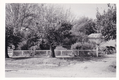 Photograph (Series), George Tibbits, Fences at 39 Kars Street and 32 Finch Street, 1976